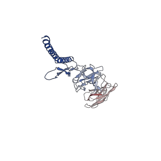 31006_7e80_DG_v1-3
Cryo-EM structure of the flagellar rod with hook and export apparatus from Salmonella