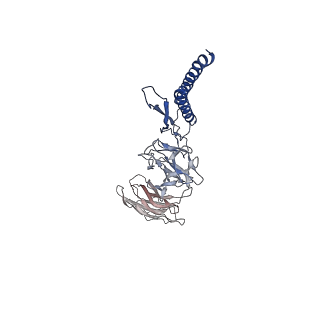 31006_7e80_DH_v1-2
Cryo-EM structure of the flagellar rod with hook and export apparatus from Salmonella