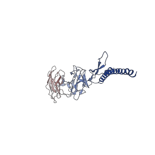31006_7e80_DI_v1-2
Cryo-EM structure of the flagellar rod with hook and export apparatus from Salmonella