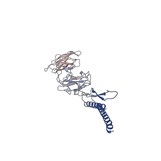 31006_7e80_DJ_v1-2
Cryo-EM structure of the flagellar rod with hook and export apparatus from Salmonella