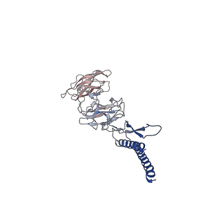 31006_7e80_DJ_v1-3
Cryo-EM structure of the flagellar rod with hook and export apparatus from Salmonella