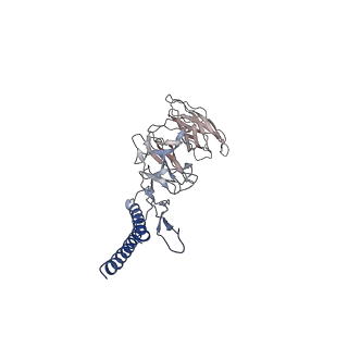 31006_7e80_DK_v1-3
Cryo-EM structure of the flagellar rod with hook and export apparatus from Salmonella