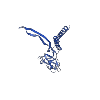 31006_7e80_E_v1-2
Cryo-EM structure of the flagellar rod with hook and export apparatus from Salmonella