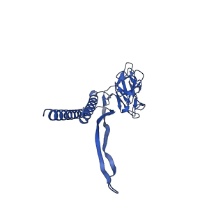 31006_7e80_F_v1-3
Cryo-EM structure of the flagellar rod with hook and export apparatus from Salmonella