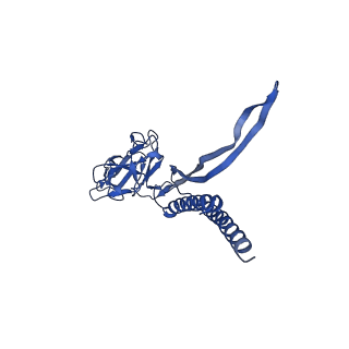 31006_7e80_H_v1-3
Cryo-EM structure of the flagellar rod with hook and export apparatus from Salmonella