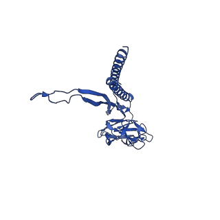 31006_7e80_J_v1-2
Cryo-EM structure of the flagellar rod with hook and export apparatus from Salmonella