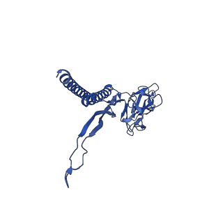 31006_7e80_K_v1-2
Cryo-EM structure of the flagellar rod with hook and export apparatus from Salmonella