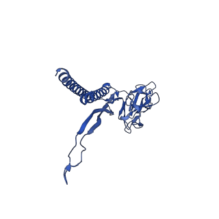 31006_7e80_K_v1-3
Cryo-EM structure of the flagellar rod with hook and export apparatus from Salmonella