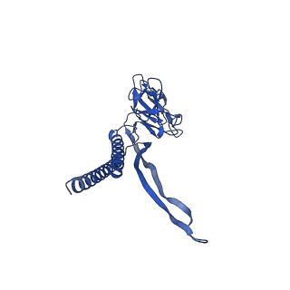 31006_7e80_L_v1-2
Cryo-EM structure of the flagellar rod with hook and export apparatus from Salmonella