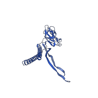 31006_7e80_L_v1-3
Cryo-EM structure of the flagellar rod with hook and export apparatus from Salmonella