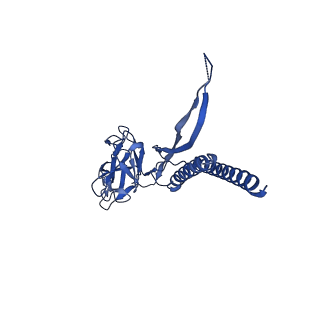 31006_7e80_N_v1-3
Cryo-EM structure of the flagellar rod with hook and export apparatus from Salmonella