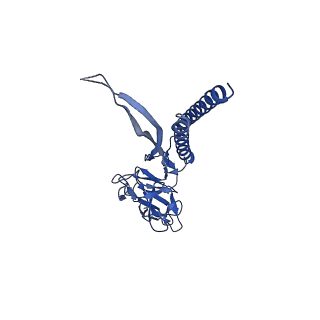 31006_7e80_O_v1-2
Cryo-EM structure of the flagellar rod with hook and export apparatus from Salmonella