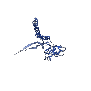 31006_7e80_P_v1-3
Cryo-EM structure of the flagellar rod with hook and export apparatus from Salmonella