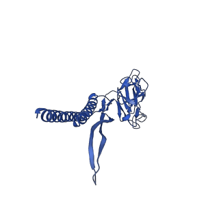 31006_7e80_Q_v1-3
Cryo-EM structure of the flagellar rod with hook and export apparatus from Salmonella