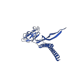 31006_7e80_S_v1-3
Cryo-EM structure of the flagellar rod with hook and export apparatus from Salmonella