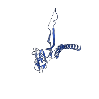 31006_7e80_T_v1-2
Cryo-EM structure of the flagellar rod with hook and export apparatus from Salmonella
