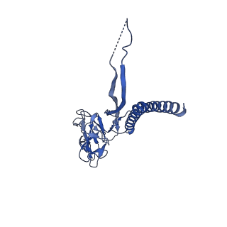 31006_7e80_T_v1-3
Cryo-EM structure of the flagellar rod with hook and export apparatus from Salmonella