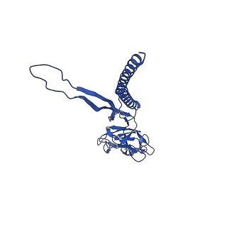 31006_7e80_U_v1-2
Cryo-EM structure of the flagellar rod with hook and export apparatus from Salmonella