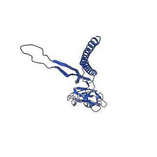 31006_7e80_U_v1-3
Cryo-EM structure of the flagellar rod with hook and export apparatus from Salmonella