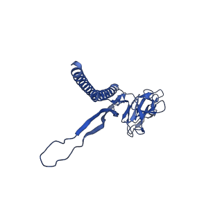 31006_7e80_V_v1-2
Cryo-EM structure of the flagellar rod with hook and export apparatus from Salmonella