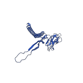 31006_7e80_V_v1-3
Cryo-EM structure of the flagellar rod with hook and export apparatus from Salmonella