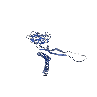 31006_7e80_X_v1-3
Cryo-EM structure of the flagellar rod with hook and export apparatus from Salmonella