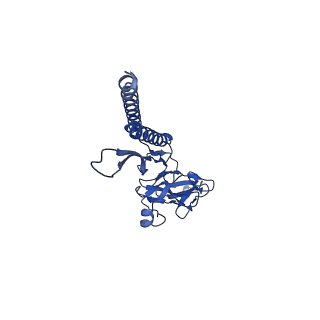 31006_7e80_a_v1-3
Cryo-EM structure of the flagellar rod with hook and export apparatus from Salmonella