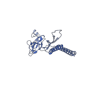 31006_7e80_b_v1-2
Cryo-EM structure of the flagellar rod with hook and export apparatus from Salmonella