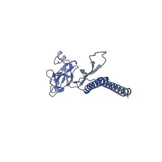 31006_7e80_b_v1-3
Cryo-EM structure of the flagellar rod with hook and export apparatus from Salmonella