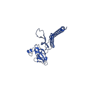 31006_7e80_c_v1-3
Cryo-EM structure of the flagellar rod with hook and export apparatus from Salmonella