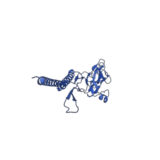 31006_7e80_d_v1-3
Cryo-EM structure of the flagellar rod with hook and export apparatus from Salmonella