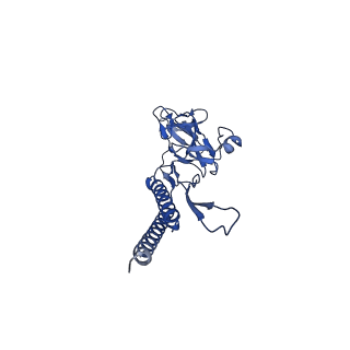 31006_7e80_e_v1-3
Cryo-EM structure of the flagellar rod with hook and export apparatus from Salmonella