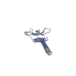 31006_7e80_g_v1-3
Cryo-EM structure of the flagellar rod with hook and export apparatus from Salmonella