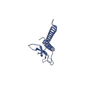 31006_7e80_h_v1-3
Cryo-EM structure of the flagellar rod with hook and export apparatus from Salmonella