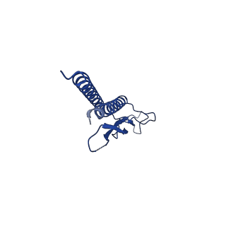 31006_7e80_i_v1-3
Cryo-EM structure of the flagellar rod with hook and export apparatus from Salmonella