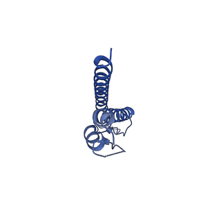 31006_7e80_k_v1-3
Cryo-EM structure of the flagellar rod with hook and export apparatus from Salmonella