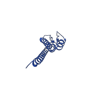 31006_7e80_o_v1-3
Cryo-EM structure of the flagellar rod with hook and export apparatus from Salmonella