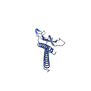 31006_7e80_p_v1-3
Cryo-EM structure of the flagellar rod with hook and export apparatus from Salmonella