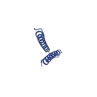 31006_7e80_q_v1-3
Cryo-EM structure of the flagellar rod with hook and export apparatus from Salmonella