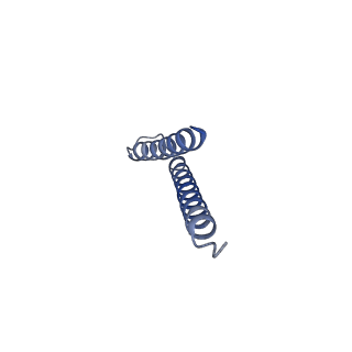31006_7e80_r_v1-2
Cryo-EM structure of the flagellar rod with hook and export apparatus from Salmonella