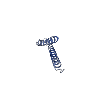 31006_7e80_r_v1-3
Cryo-EM structure of the flagellar rod with hook and export apparatus from Salmonella