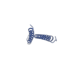31006_7e80_s_v1-2
Cryo-EM structure of the flagellar rod with hook and export apparatus from Salmonella