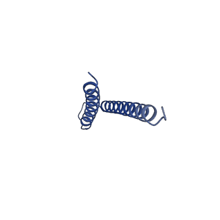 31006_7e80_s_v1-3
Cryo-EM structure of the flagellar rod with hook and export apparatus from Salmonella