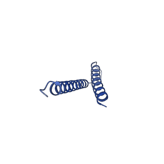 31006_7e80_u_v1-3
Cryo-EM structure of the flagellar rod with hook and export apparatus from Salmonella