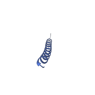 31006_7e80_v_v1-3
Cryo-EM structure of the flagellar rod with hook and export apparatus from Salmonella