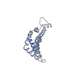 31006_7e80_x_v1-2
Cryo-EM structure of the flagellar rod with hook and export apparatus from Salmonella