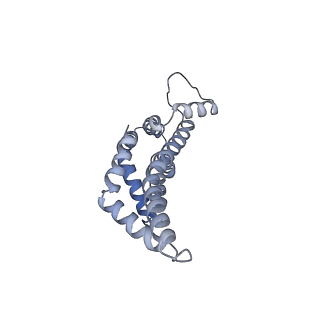 31006_7e80_x_v1-3
Cryo-EM structure of the flagellar rod with hook and export apparatus from Salmonella