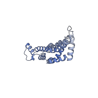 31006_7e80_y_v1-2
Cryo-EM structure of the flagellar rod with hook and export apparatus from Salmonella