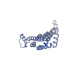 31006_7e80_y_v1-3
Cryo-EM structure of the flagellar rod with hook and export apparatus from Salmonella