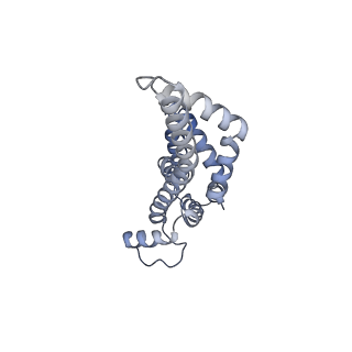 31006_7e80_z_v1-2
Cryo-EM structure of the flagellar rod with hook and export apparatus from Salmonella